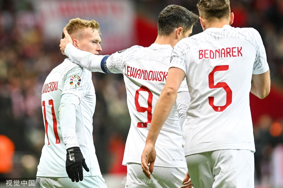 [欧预赛]波兰1-0阿尔巴尼亚 斯维德斯基制胜球