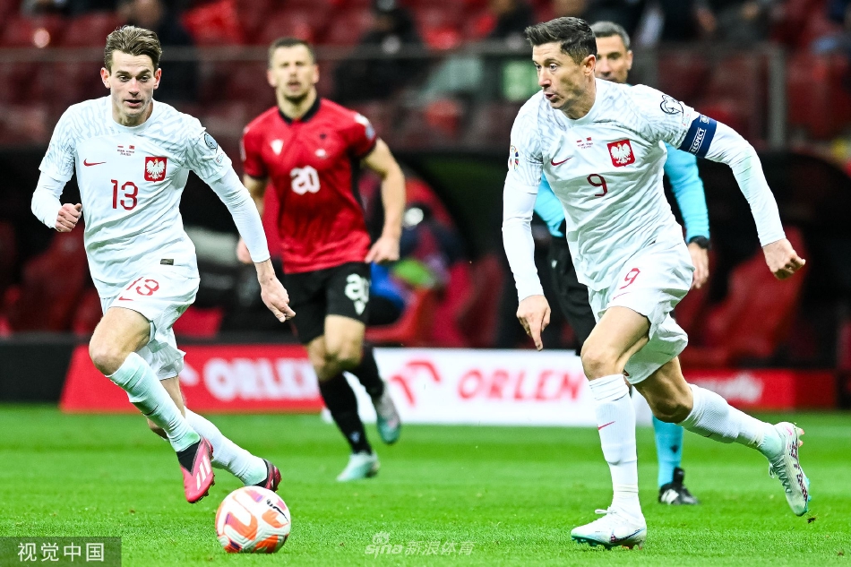 [欧预赛]波兰1-0阿尔巴尼亚 斯维德斯基制胜球